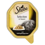 Sheba